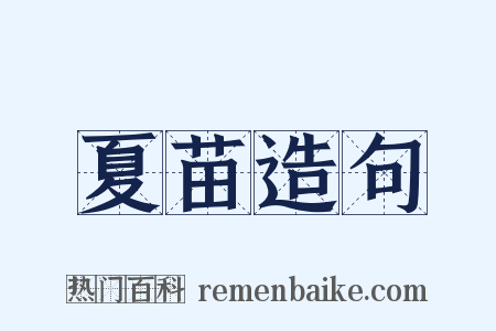 夏苗造句是什么意思的图片